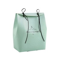 Wholesale Christmas gift packaging jewelry paper bag